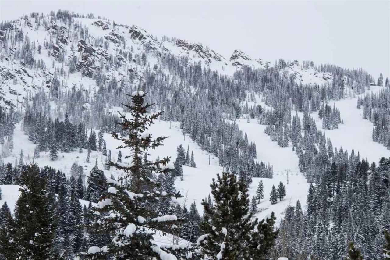 Вілла Jhrl - Nez Perce C4, 1 Mile From Grand Teton Np Тетон Віллідж Екстер'єр фото